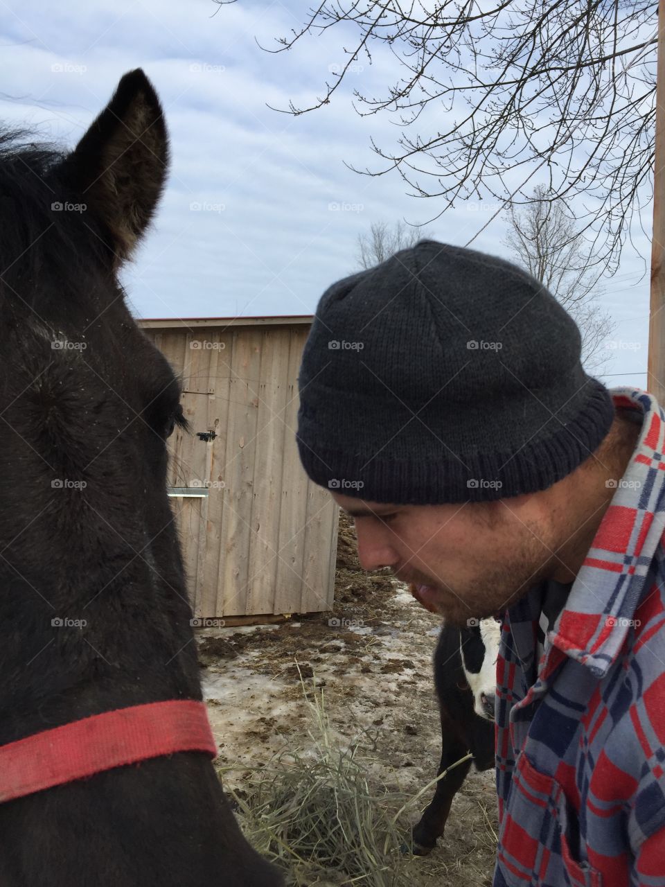 Just talking about sweet nothings to the horse and she soaks it all in chance  loves affection.