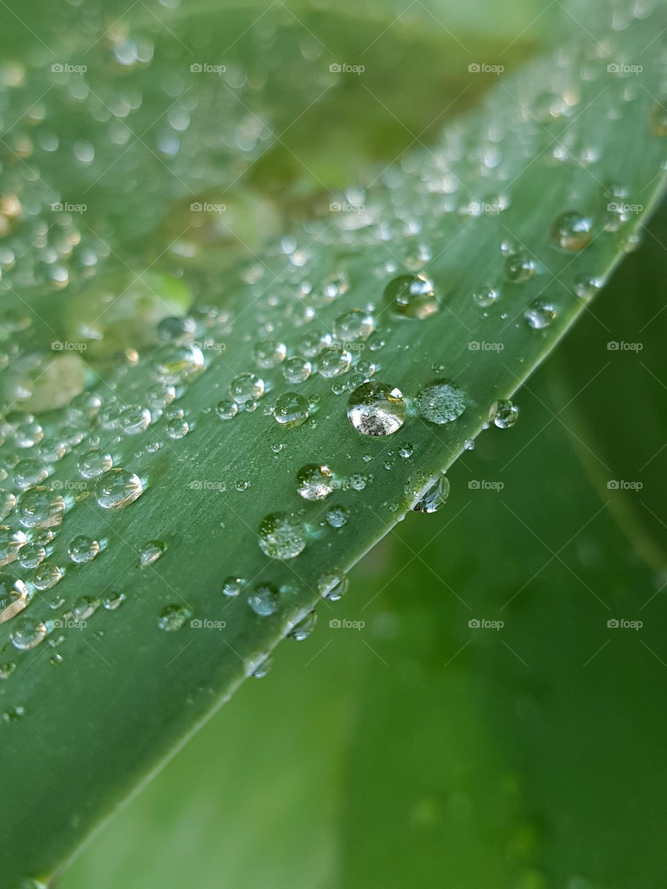 water droplets