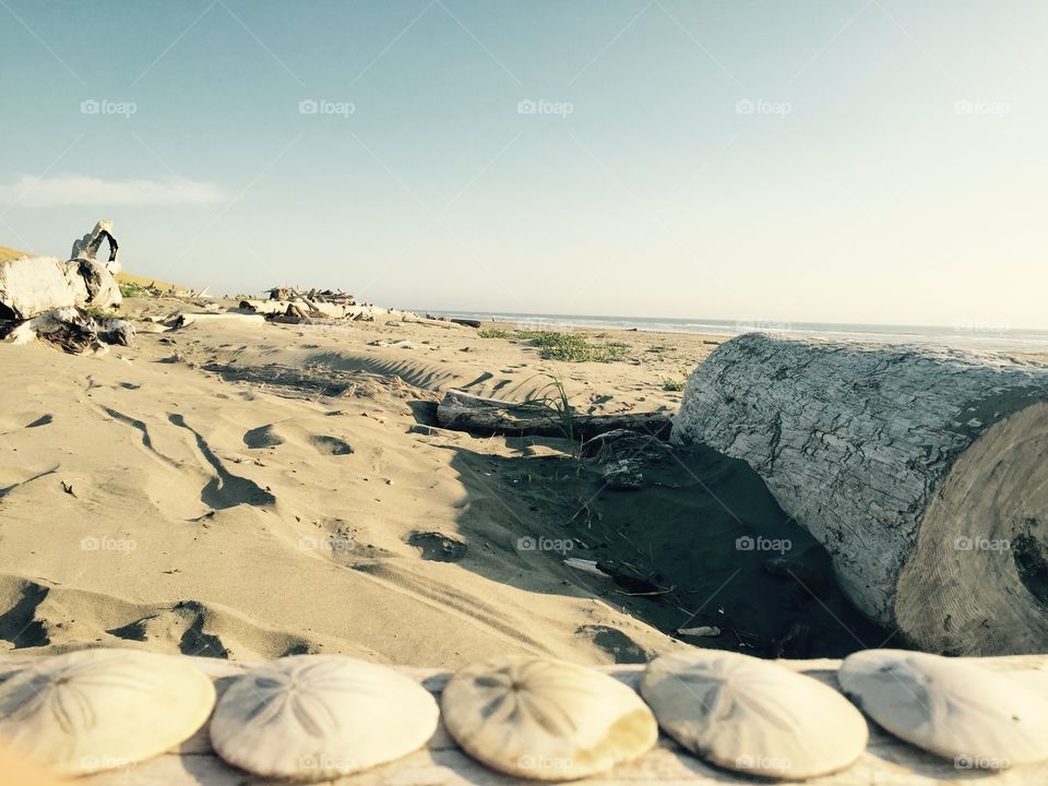 Landscape, Water, No Person, Seashore, Sea