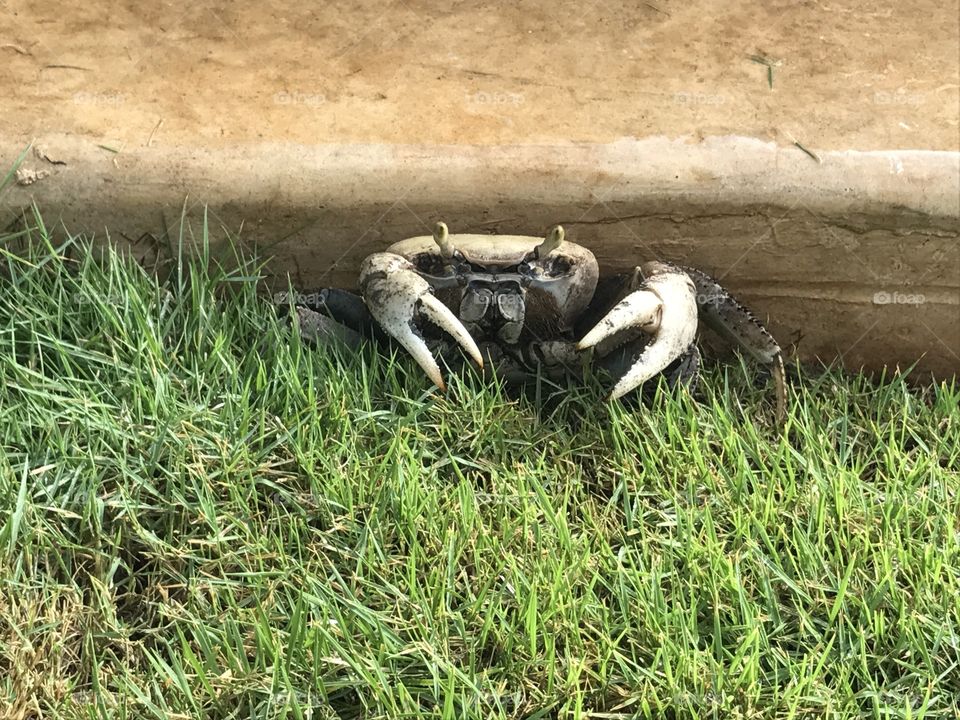 Let's go to the beach but I cannot find it... hehe 