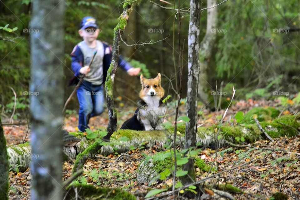 Boy and dog walking in forest