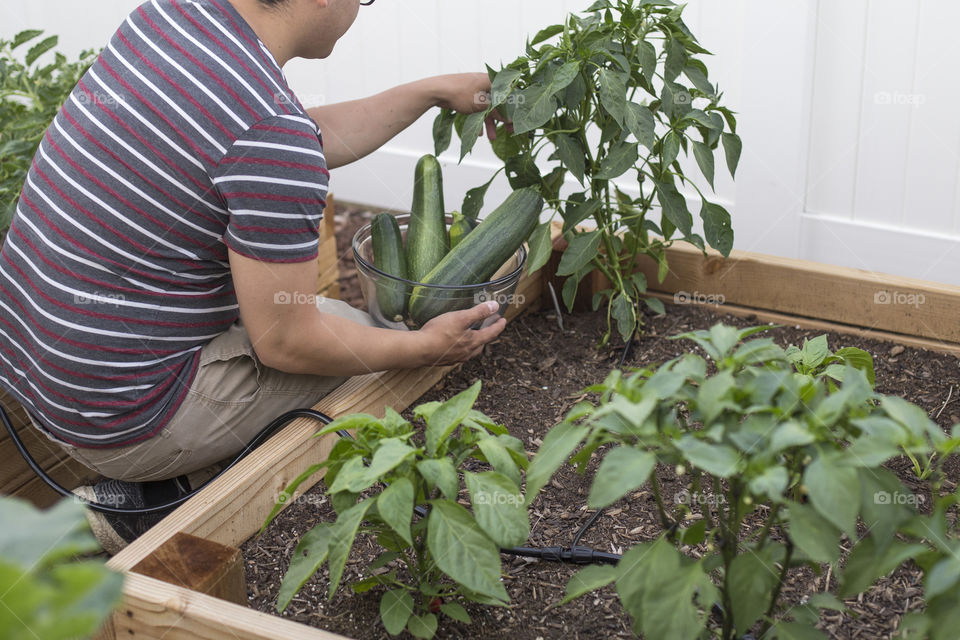 Planting and gardening 