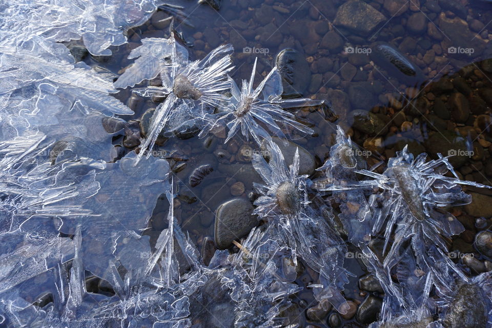 Ice Fragments attached to stones on the riverbank