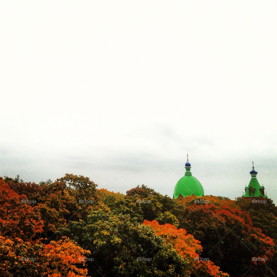 sky green red trees by janispurins