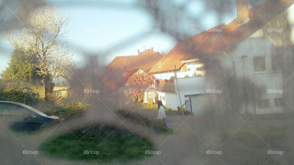 spring through the window