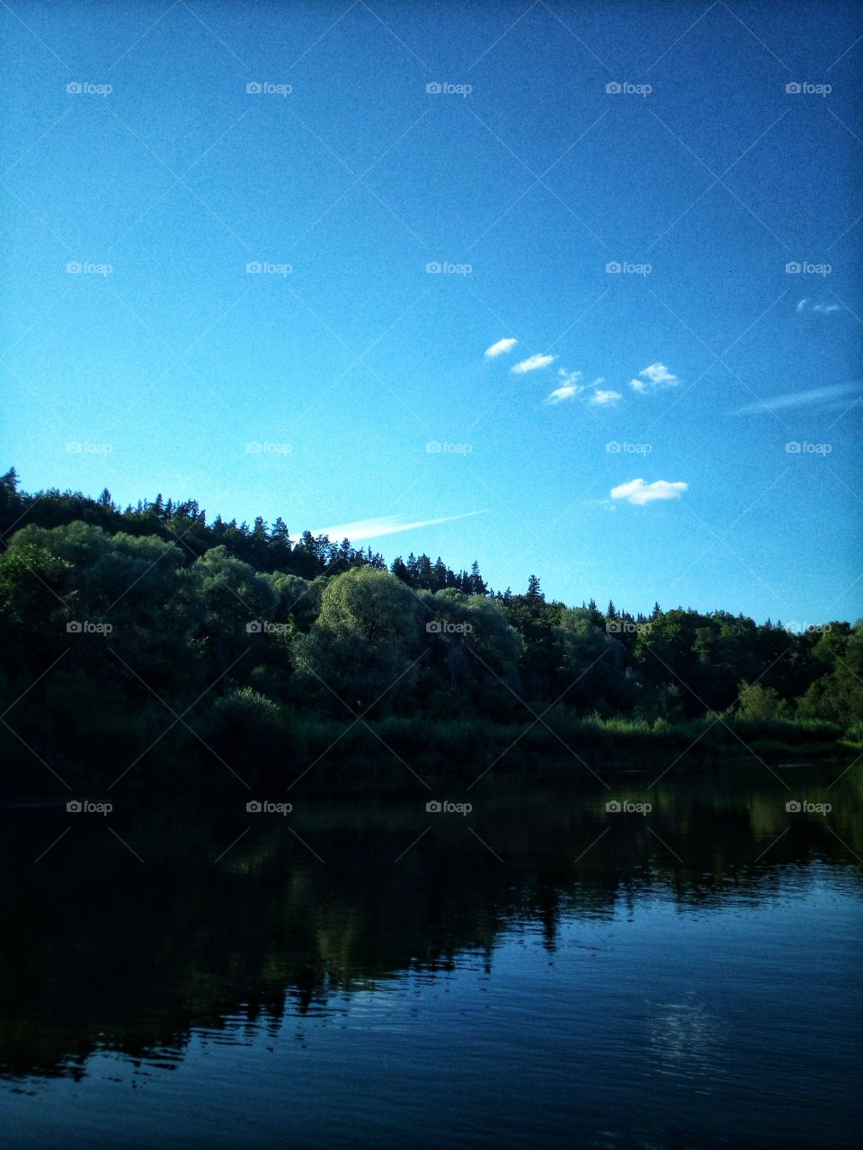 Summertime. Nature. Peace.