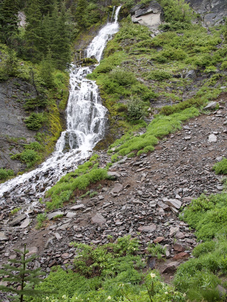 The cold waters of Vadea Falls in Crater Lake National Park look like lightening forking down the mountainside. 