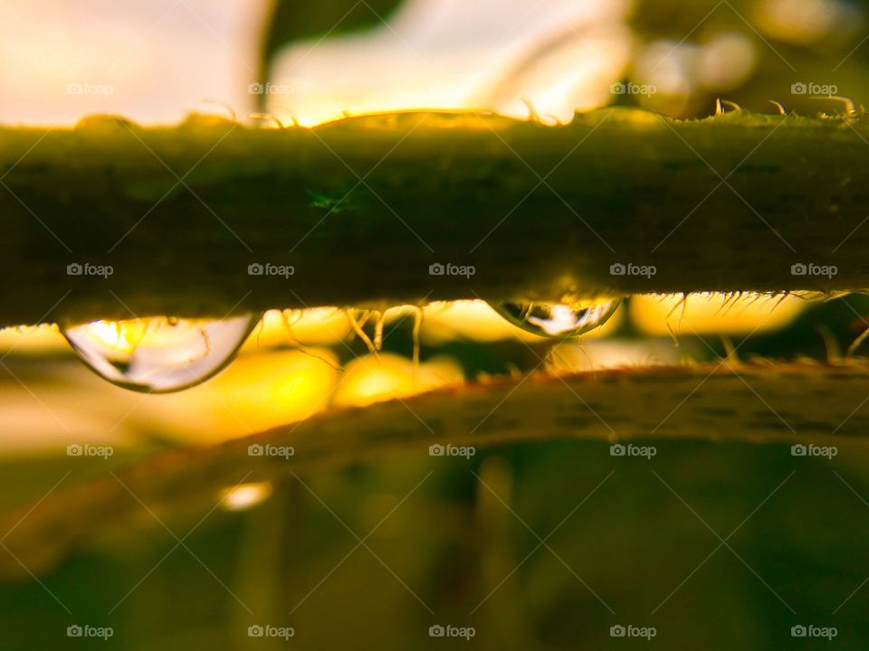 Sunset thru rain drops 