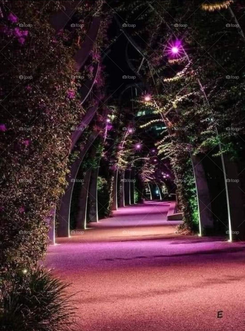 Path to a magical realm