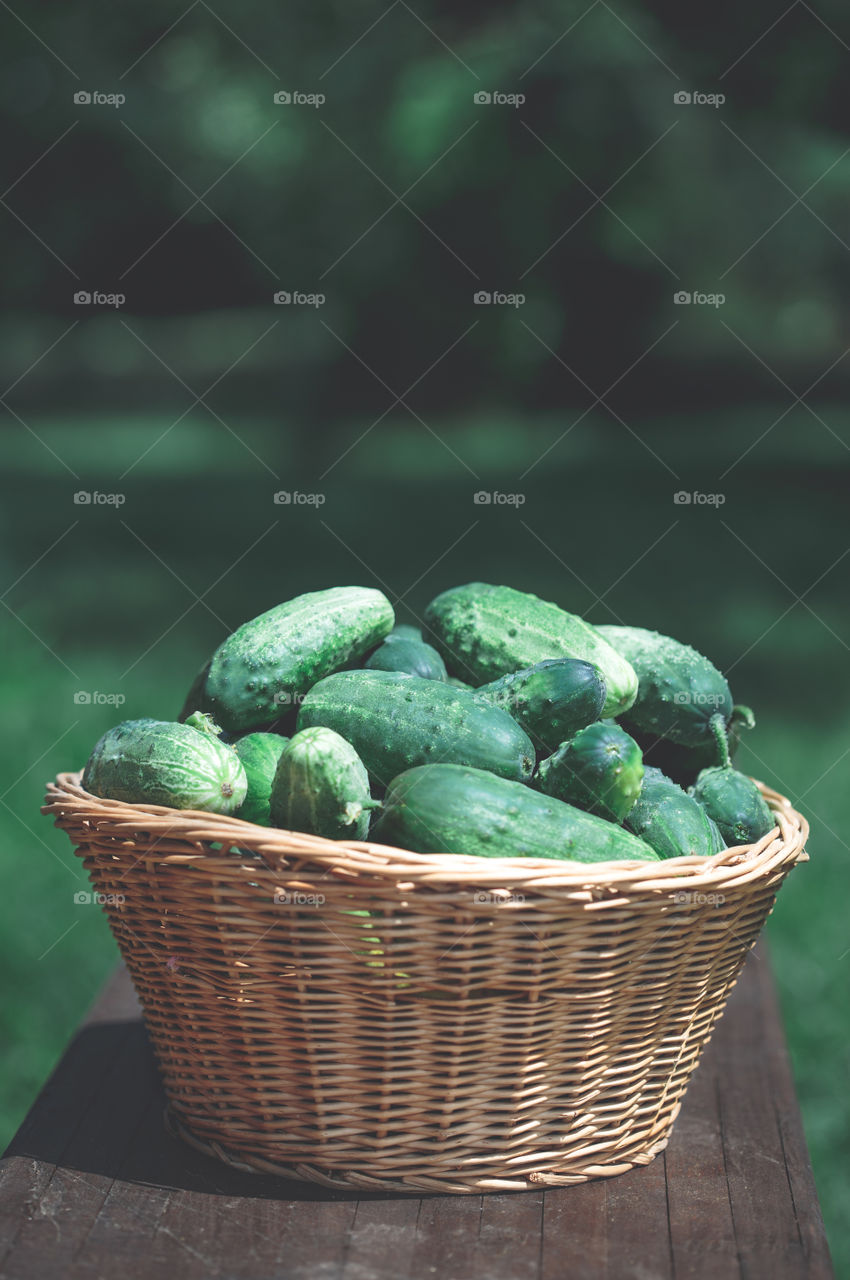 Cucumbers in a wicker basket