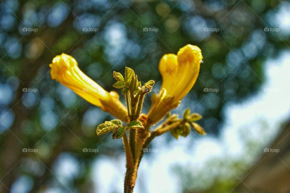 A natureza é linda!!!