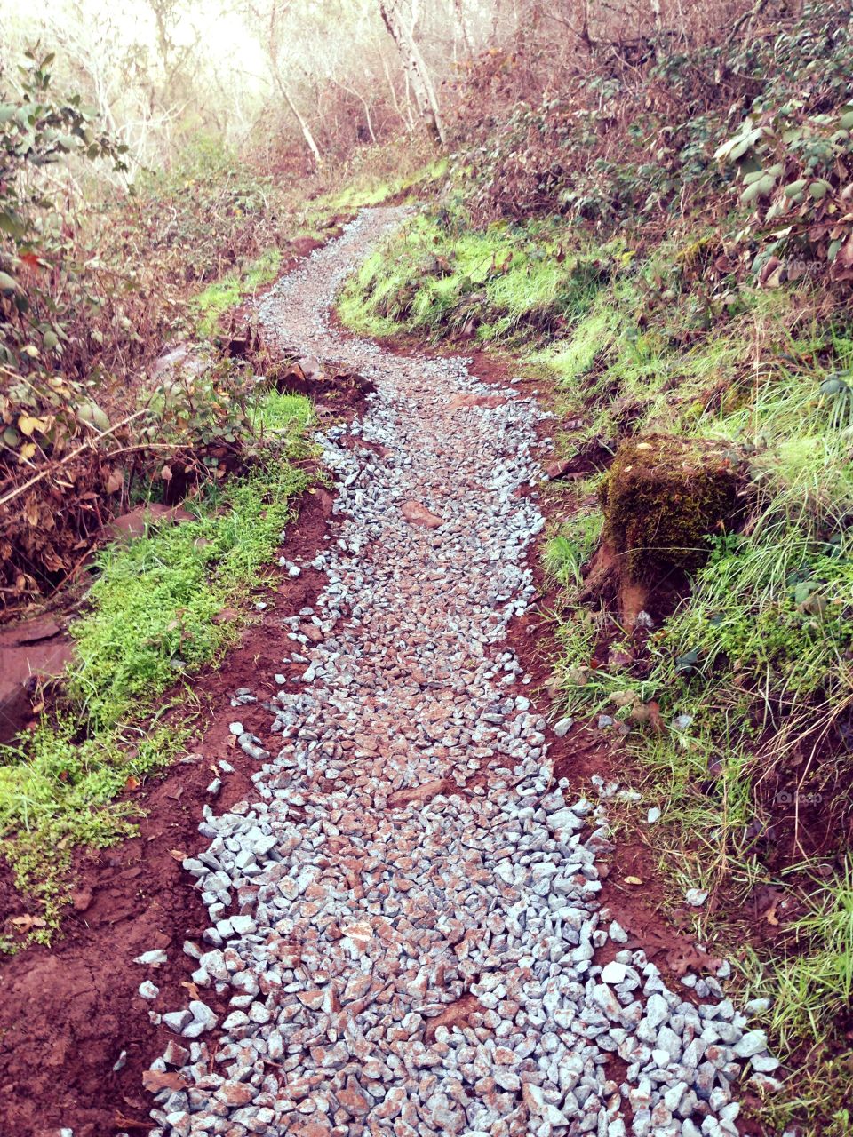 Path of Rubble and Green