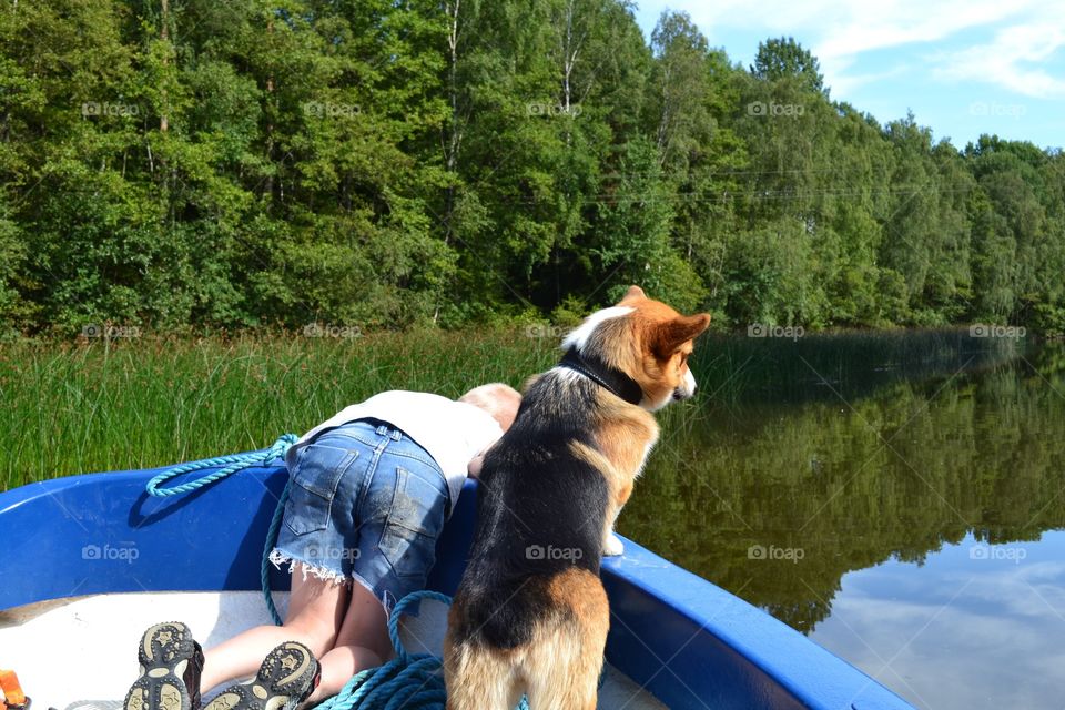 Boy and a dog looking at the water in a boat