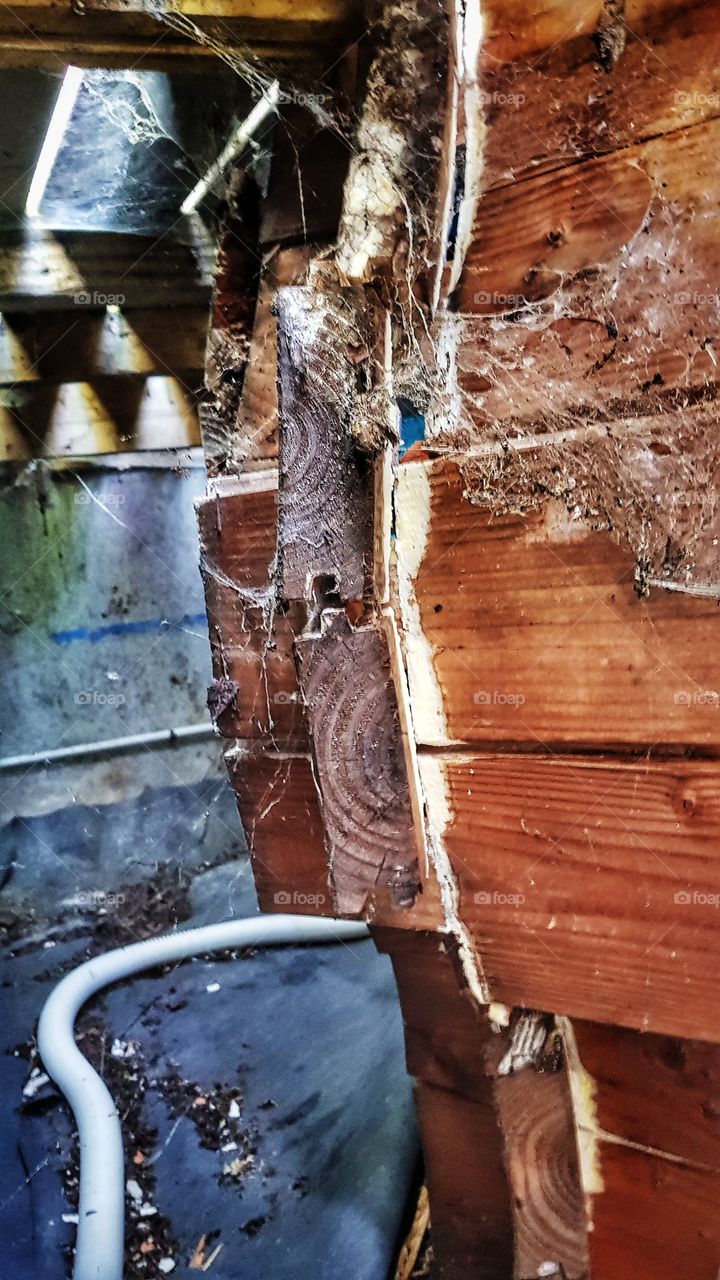 After 11 years, my wooden framed pool is dying from wet rot. Not enough air flow under the wooden decking. “It cannae take any more Jim, it’s gonna blow!!!” 💥💥😱