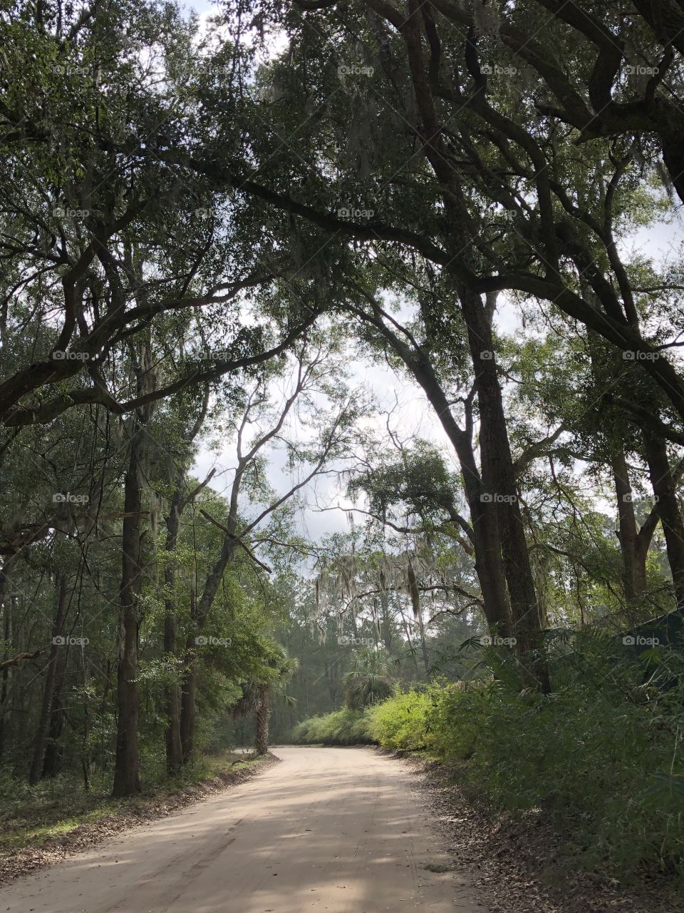 Hiking Trail