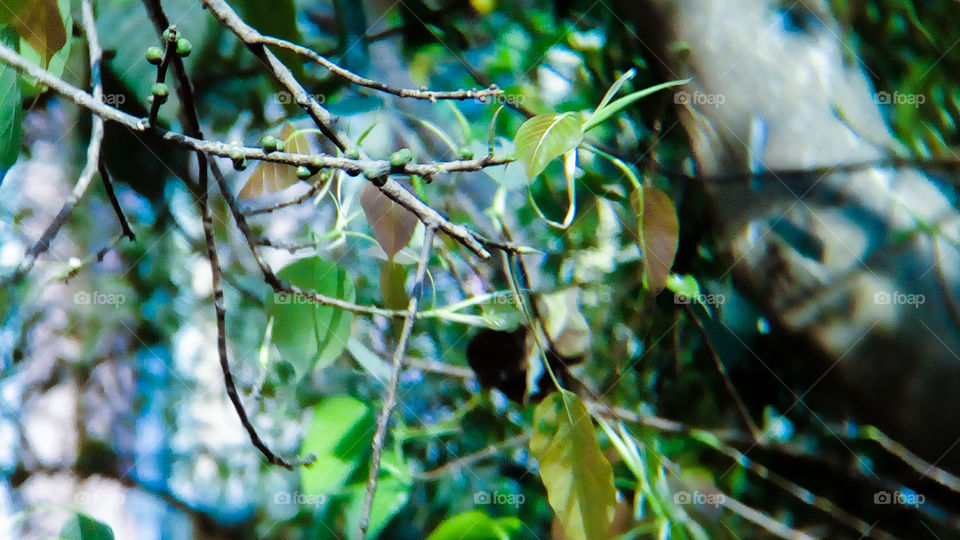 Spring comes with new life