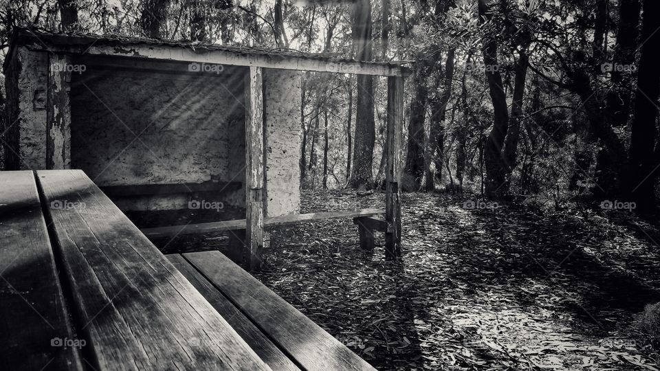 Conservation Hut at Wentworth Falls, Sydney, Australia. This area is part of the Blue Mountains National Park, located immediately outside of metropolitan Sydney. Monochrome version.