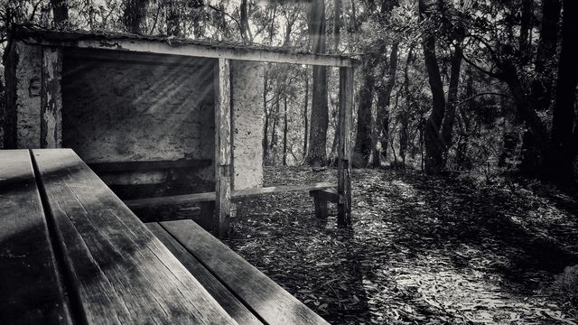 Conservation Hut at Wentworth Falls, Sydney, Australia. This area is part of the Blue Mountains National Park, located immediately outside of metropolitan Sydney. Monochrome version.