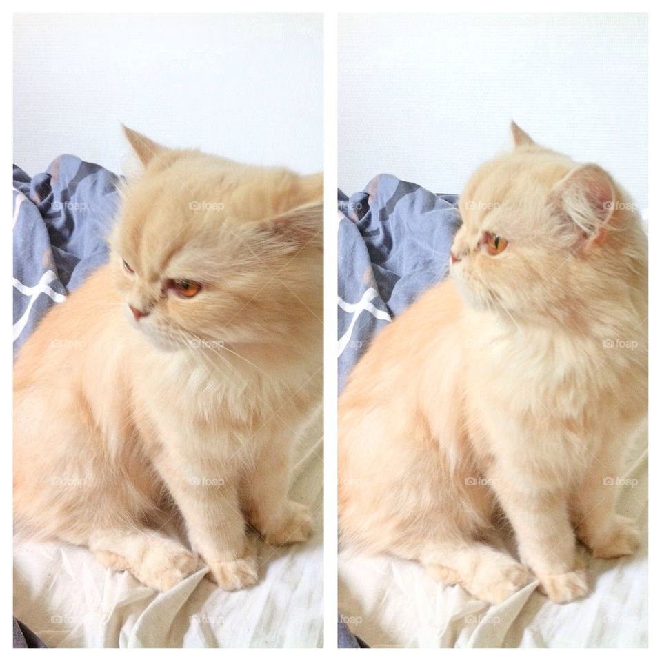 Waking up at 4pm.. So hard !