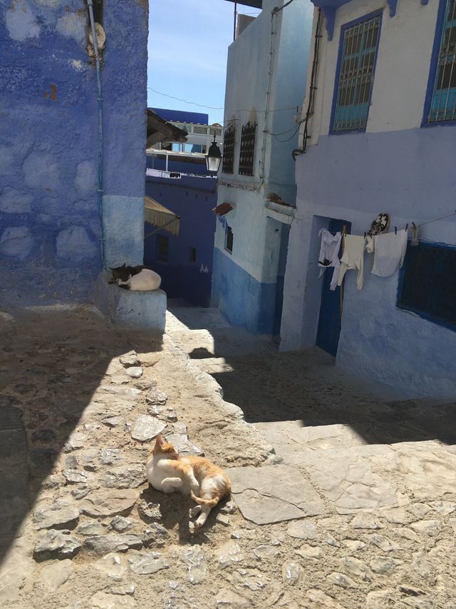 Morning Chefchaouen 