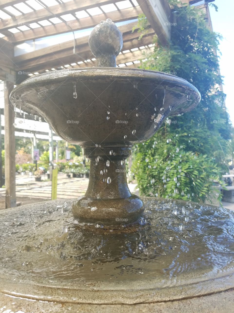 Water Fountain at Hicks Nurseries on Long Island, NY: September 2017