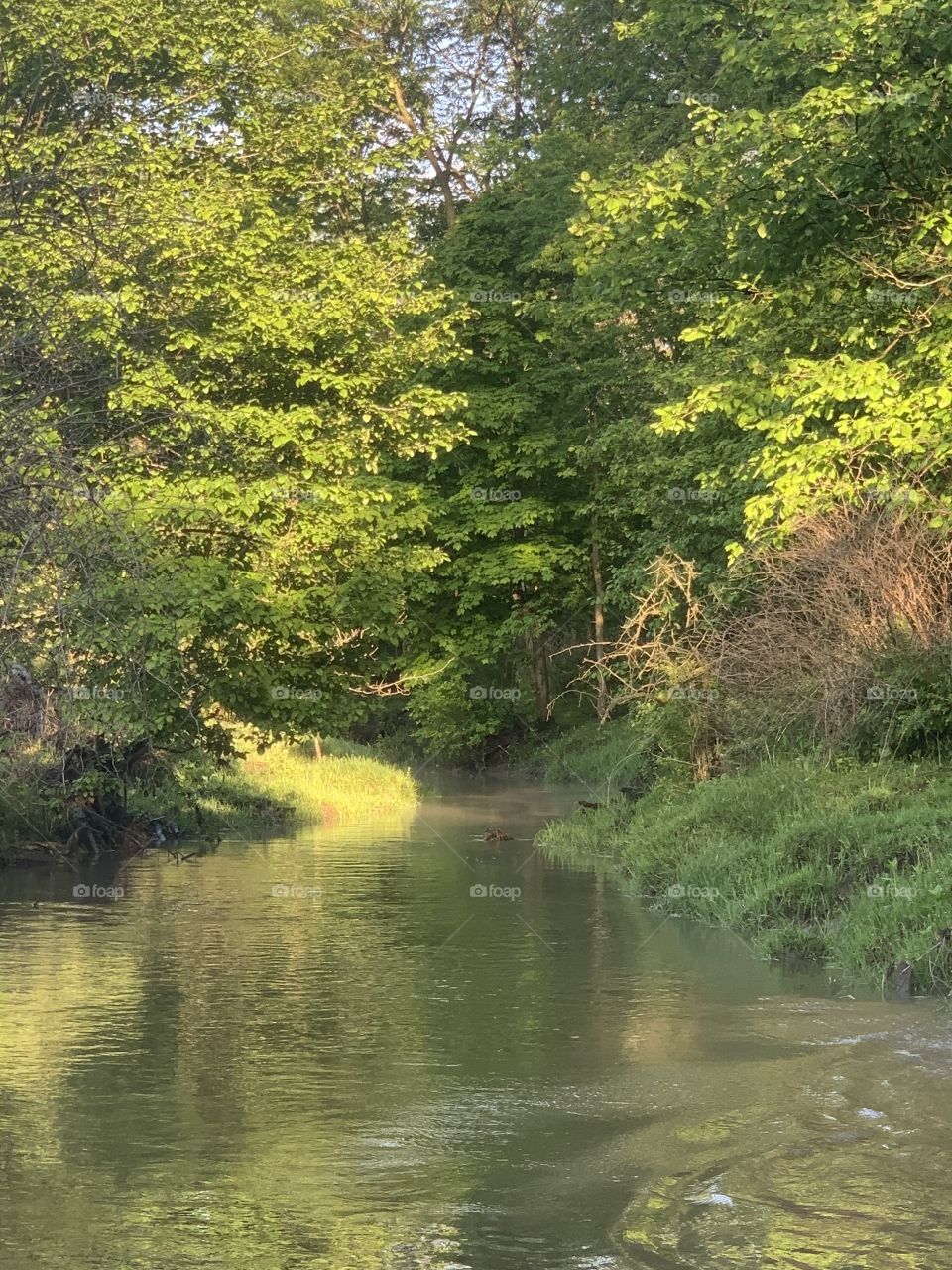 Beautiful sun on creek. Water reflection 