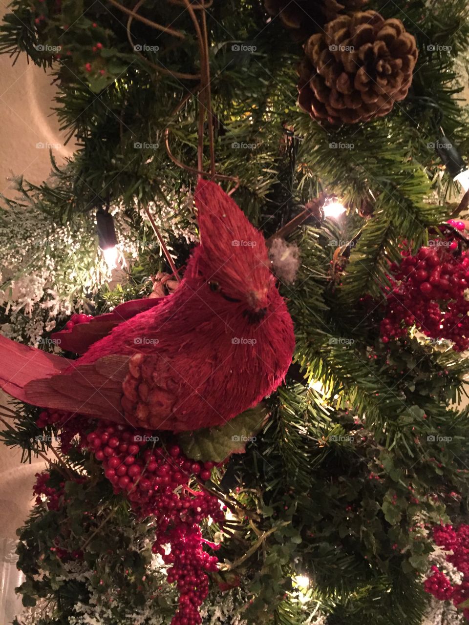 Christmas red bird