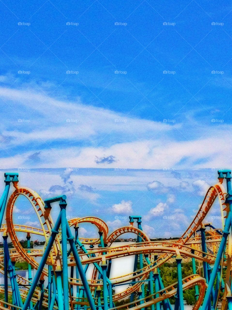 roller coaster high