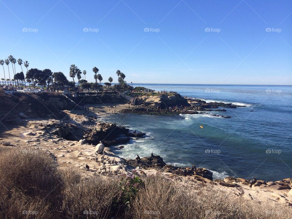 La Jolla 