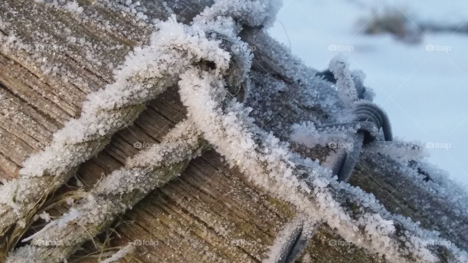 Broken and Frozen Fence part