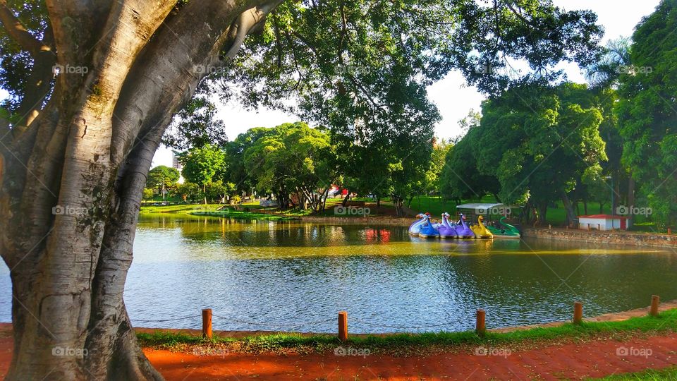 lago das rosas Goiânia GO