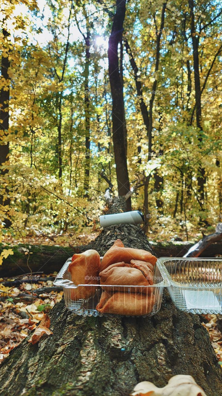 scenery in the autumn forest, hot tea with cookies