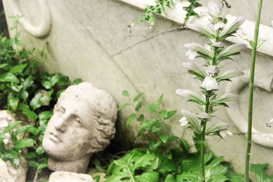 Green and white philosophy