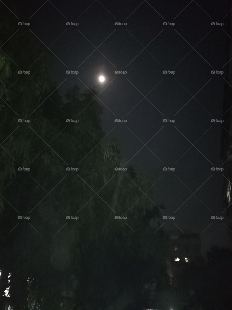 Full moon distant night view