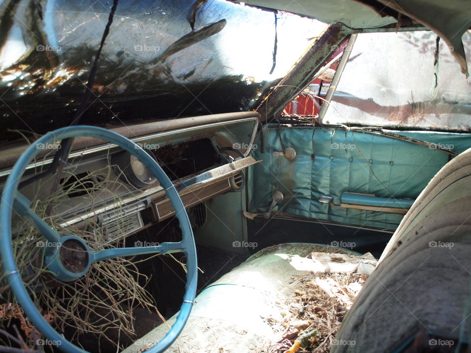 Vintage Chevy in Junkyard 