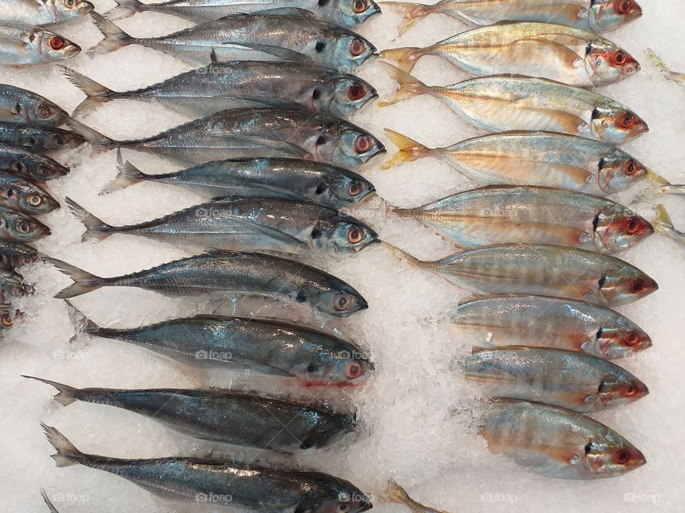 Fishes displayed on tray