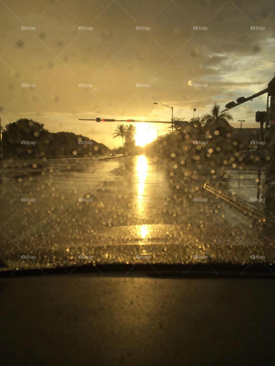 Blinded by the light