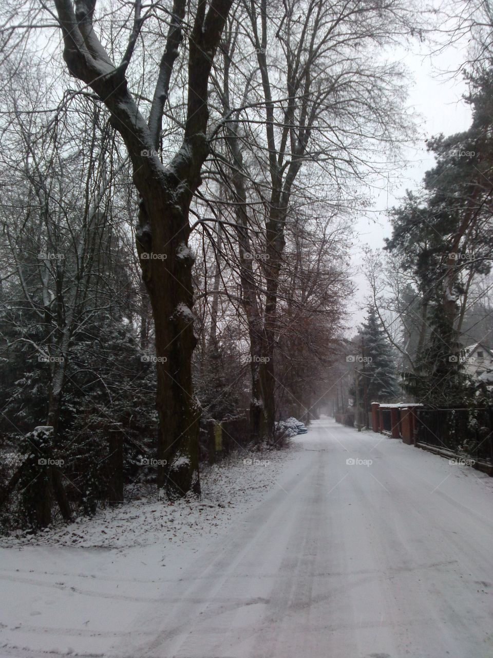 snowy road