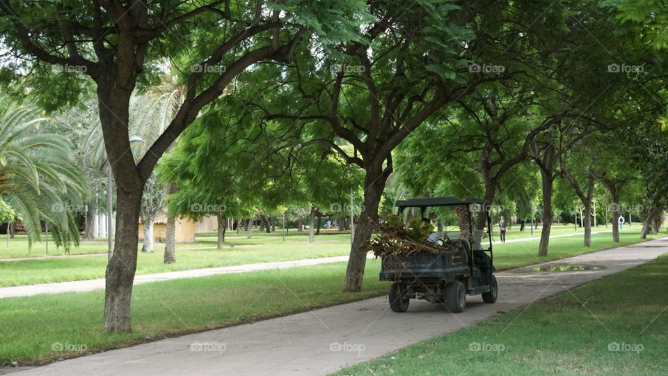 Park#nature#trees#work#car#vegetation