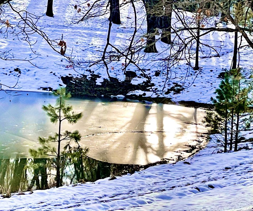 Tree reflection on winter lake bathed in sun light 