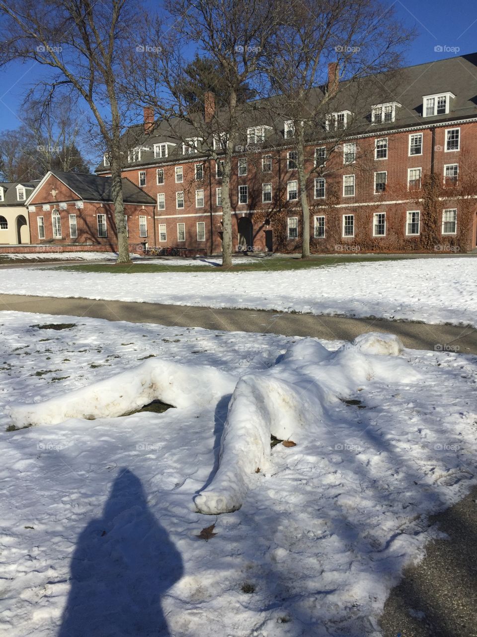 Snow sculpture on school quad