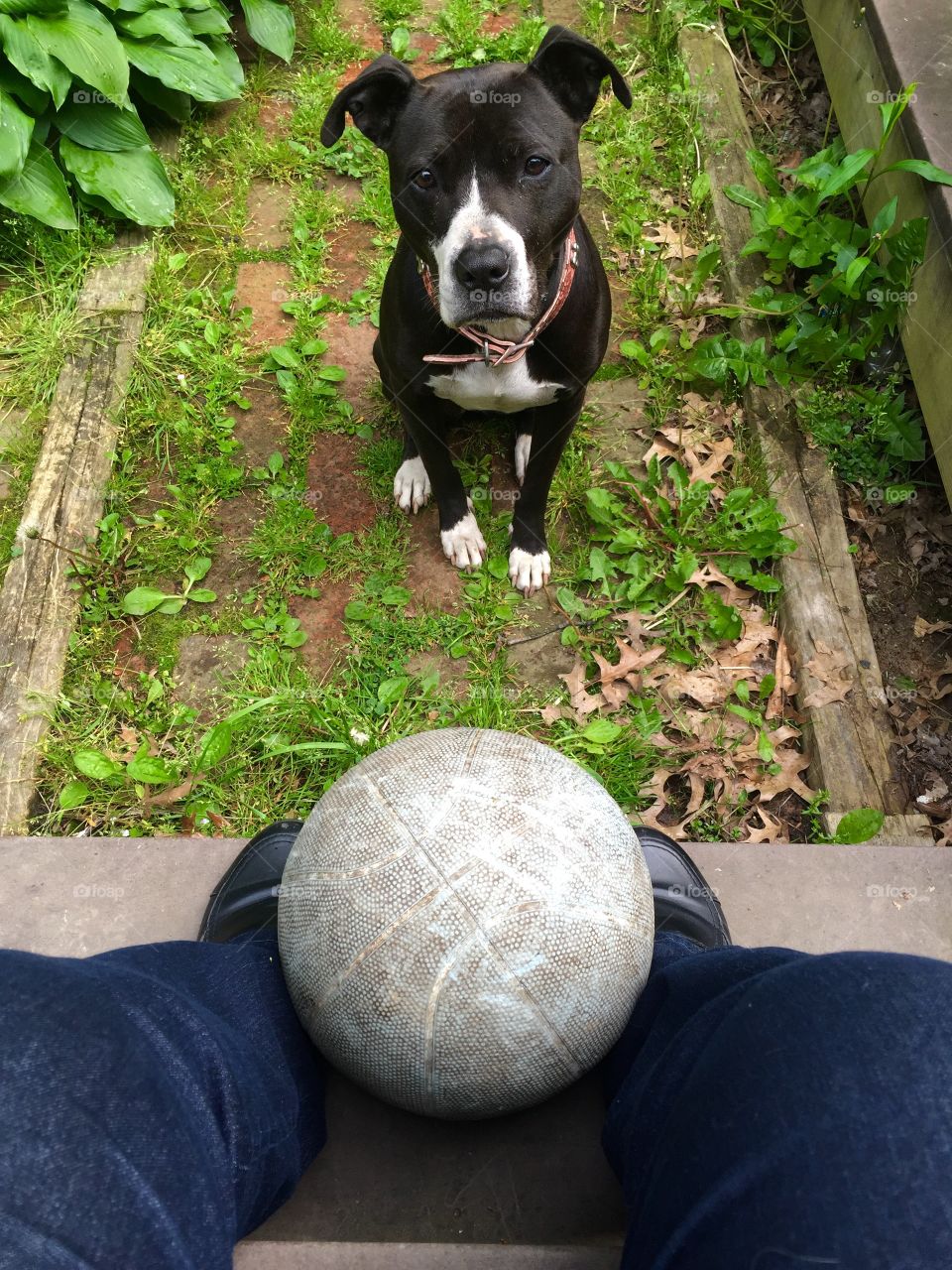 Throw me that ball