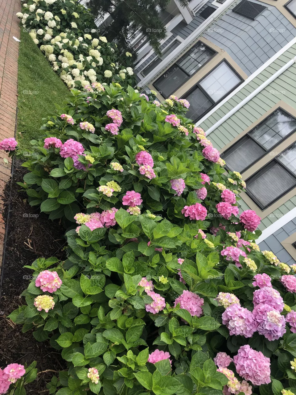 Nature mix with flowers