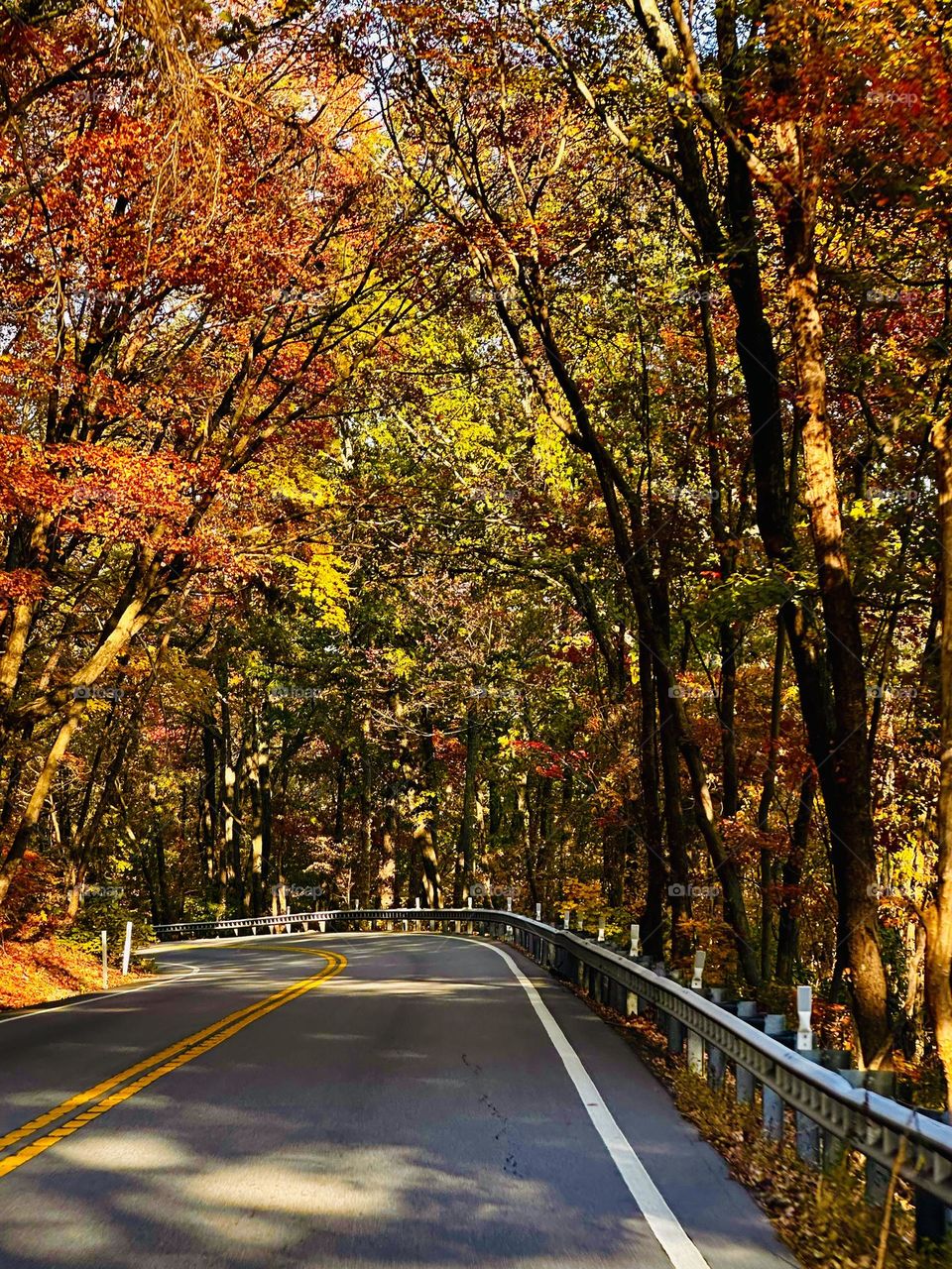 First signs of Autumn  - One of my favorite activities Is meandering through the countryside on a lazy Sunday to take in the beauty of all of mother nature’s Autumn surprises and all the colorful leaves. 