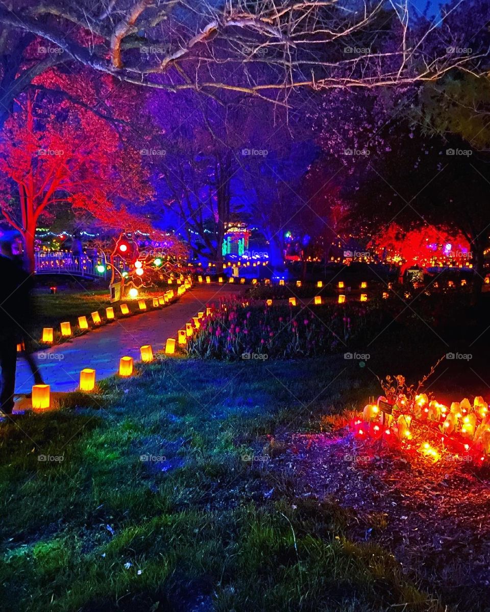 Beautiful night at Tulips at Twilight at Ward Meade Park in Topeka, Ks