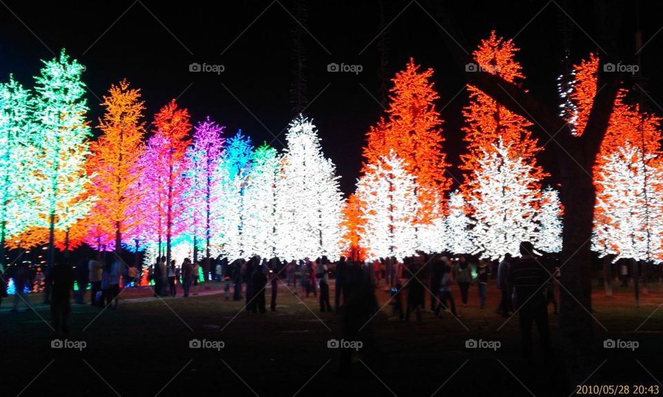 light trees