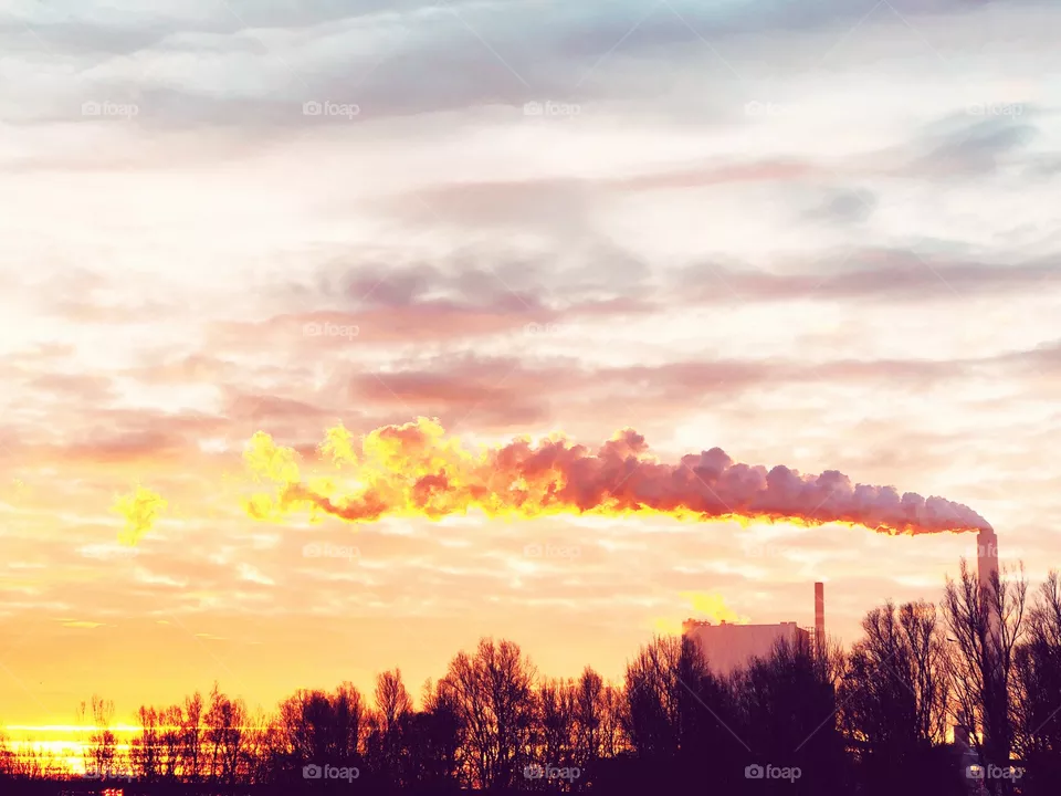 In the Morning 