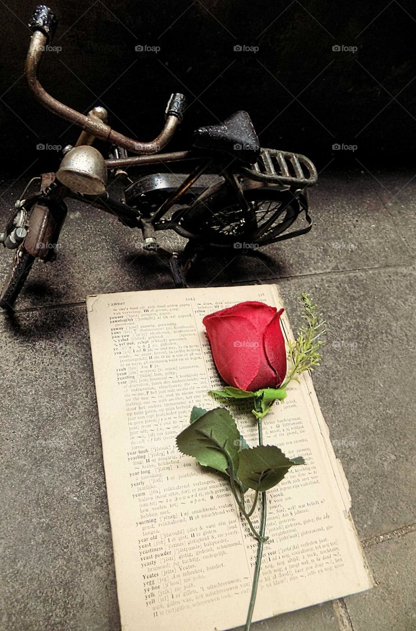 The meaning of love in a book