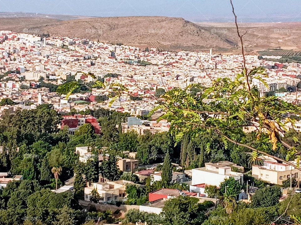 Population between the nature