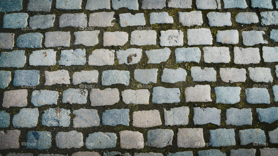 A cobblestone street in Antwerp, Belgium.